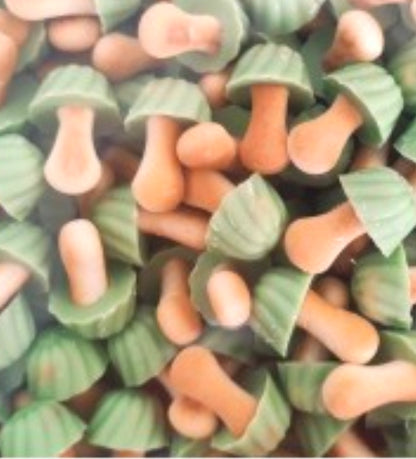 Champignon pistache (×10)