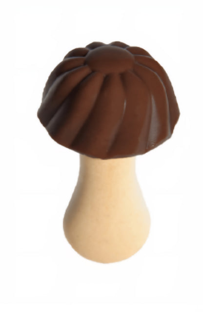 Champignon chocolat (×10)